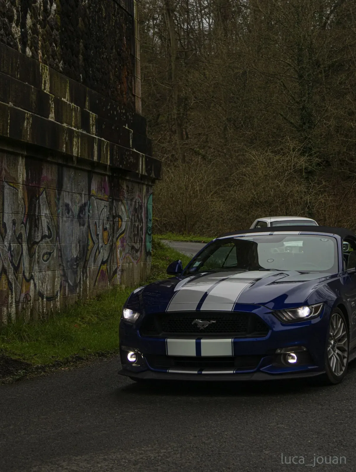 Mustang lors de la sortie du 21 février 2026, Côtes-d'Armor (22) · photo 2