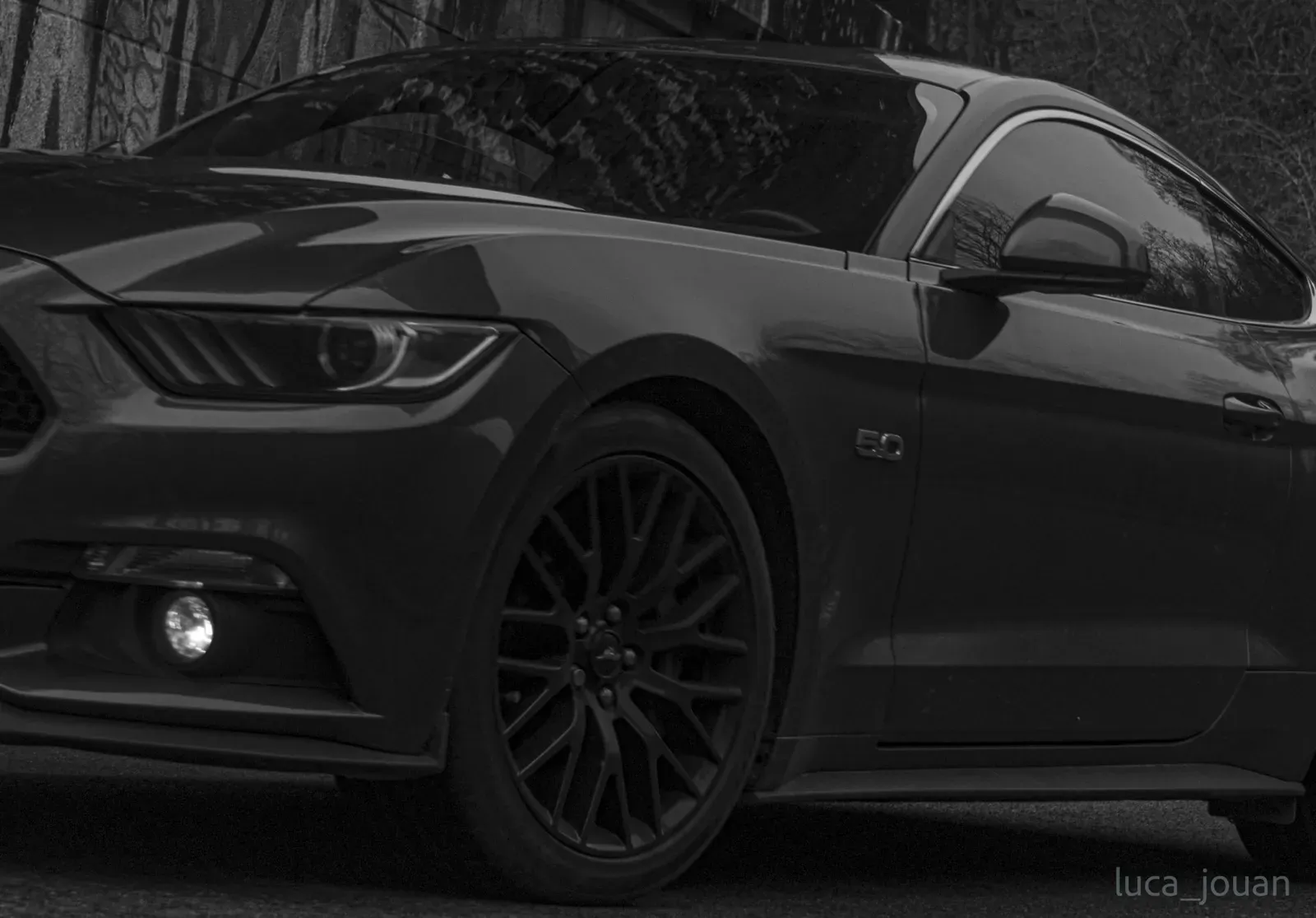 Mustang lors de la sortie du 21 février 2026, Côtes-d'Armor (22) · photo 4