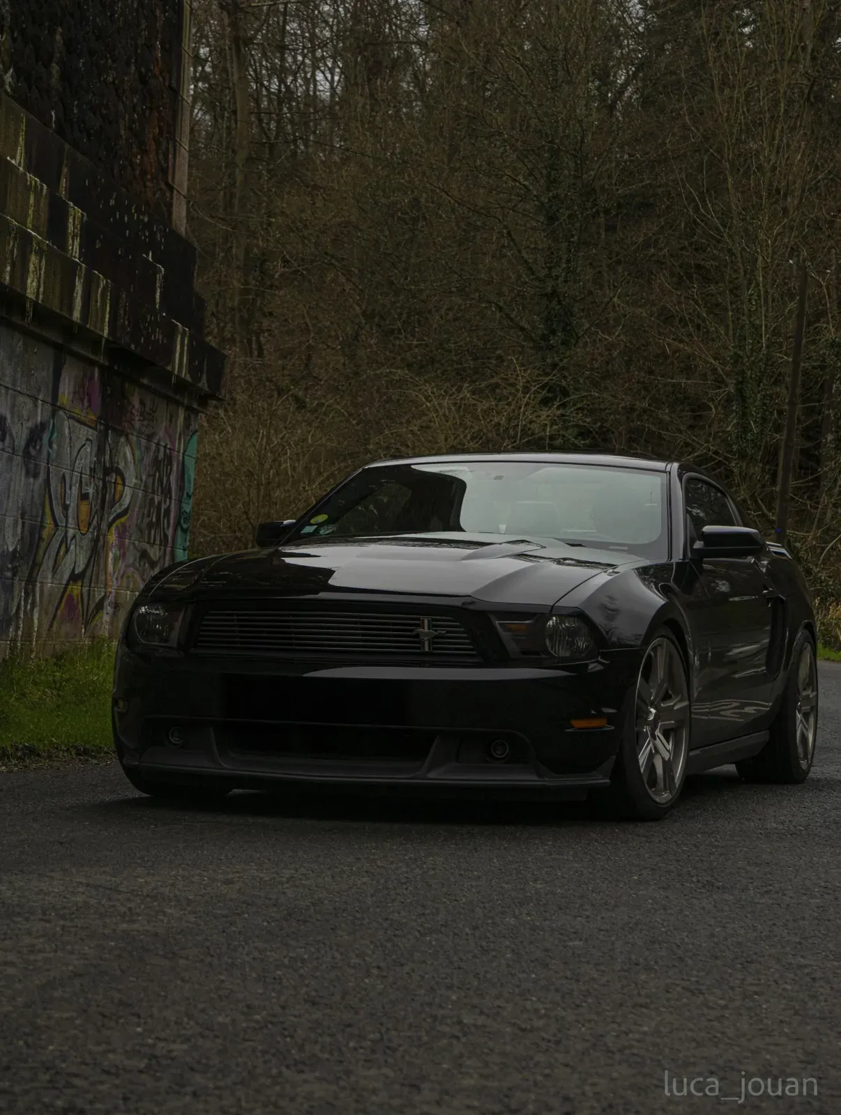 Mustang lors de la sortie du 21 février 2026, Côtes-d'Armor (22) · photo 5