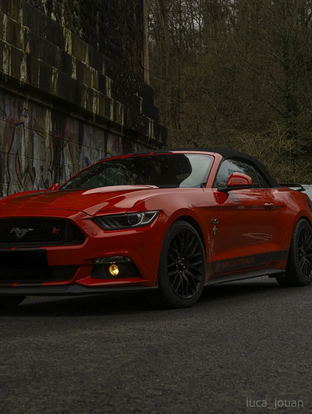 Mustang lors de la sortie du 21 février 2026, Côtes-d'Armor (22) · photo 7