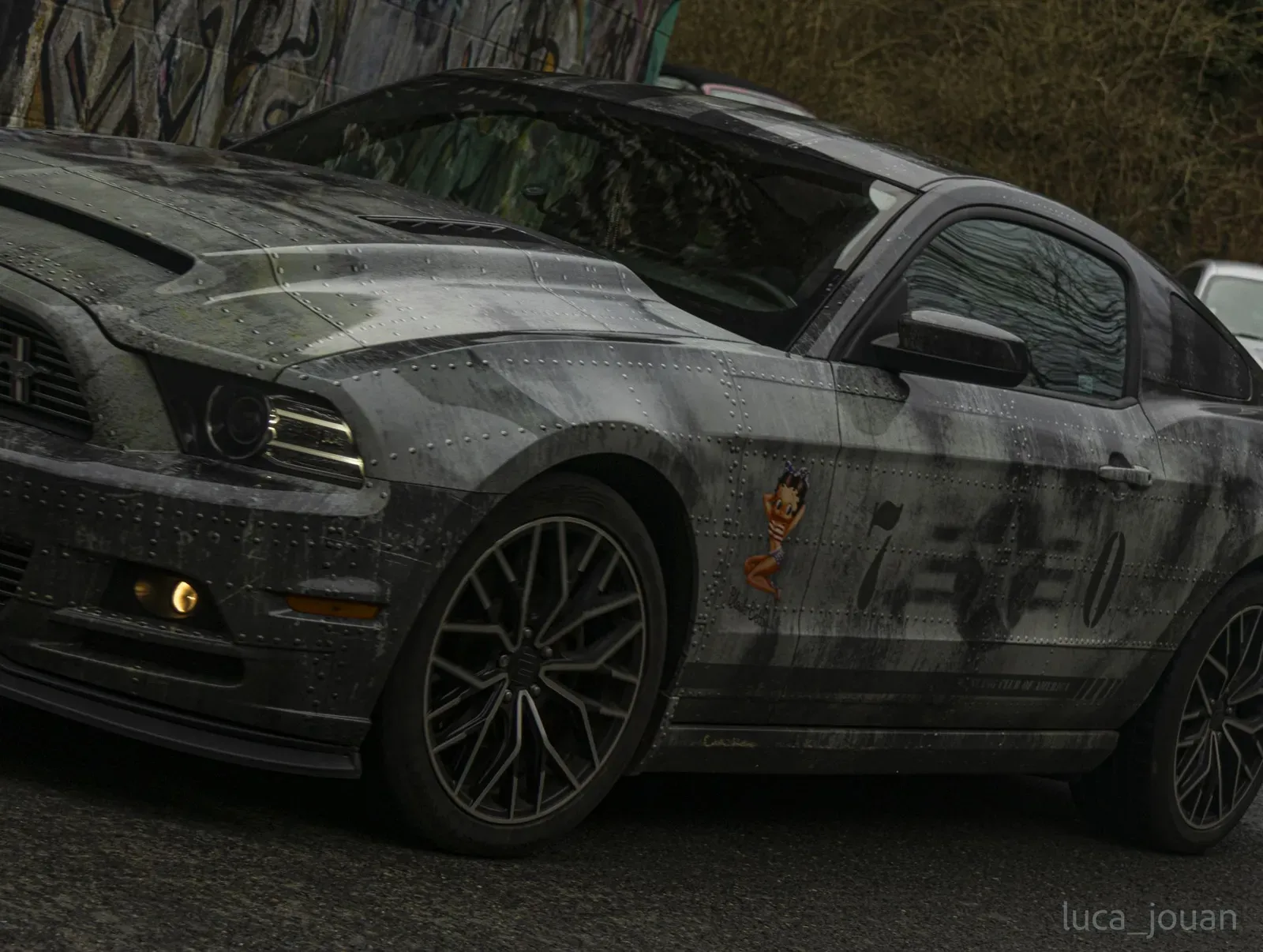 Mustang lors de la sortie du 21 février 2026, Côtes-d'Armor (22) · photo 11