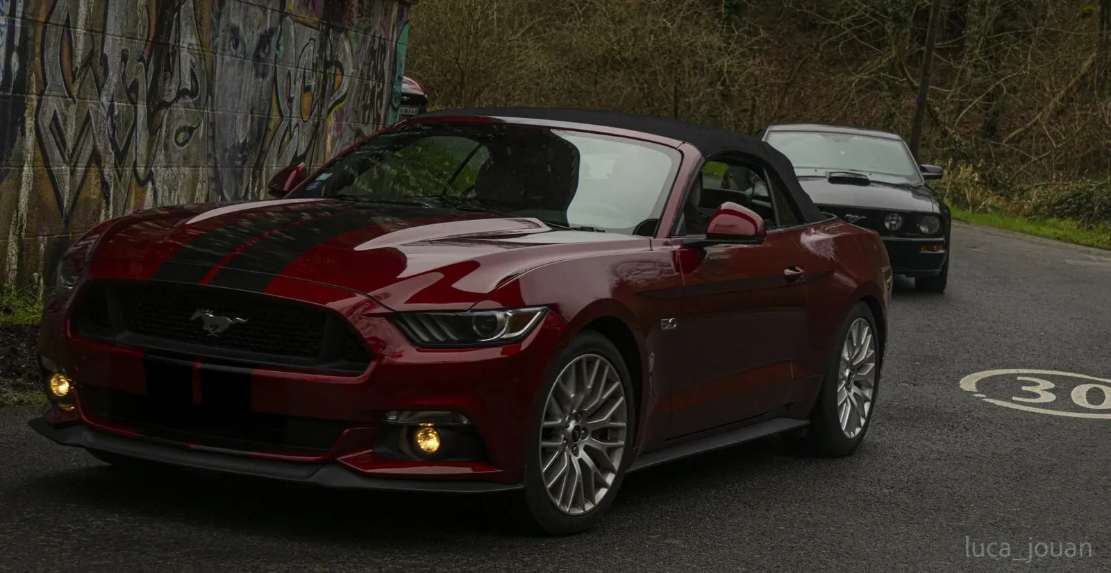 Mustang lors de la sortie du 21 février 2026, Côtes-d'Armor (22) · photo 12