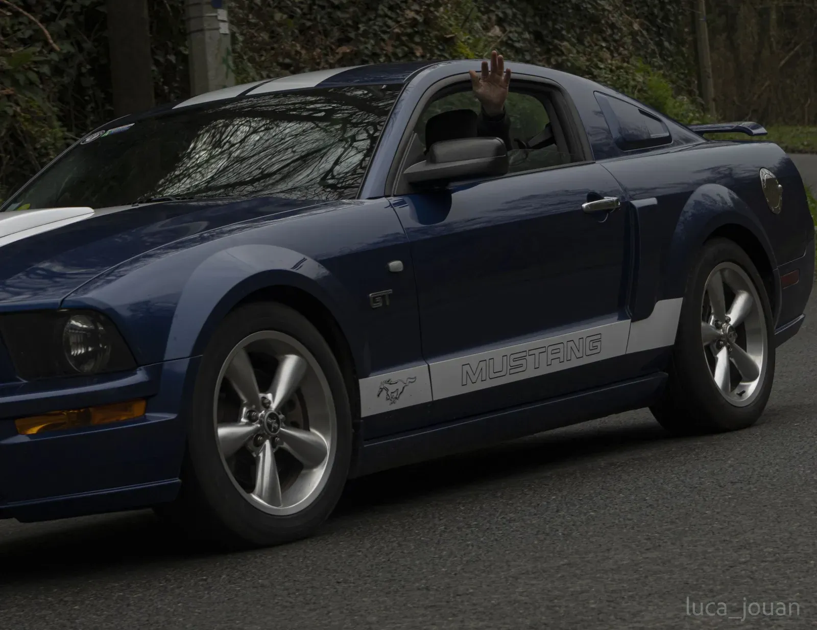 Mustang lors de la sortie du 21 février 2026, Côtes-d'Armor (22) · photo 13