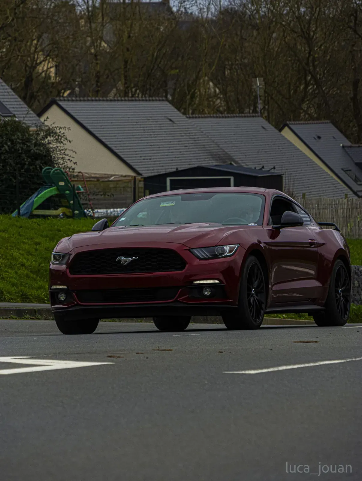 Mustang lors de la sortie du 21 février 2026, Côtes-d'Armor (22) · photo 14