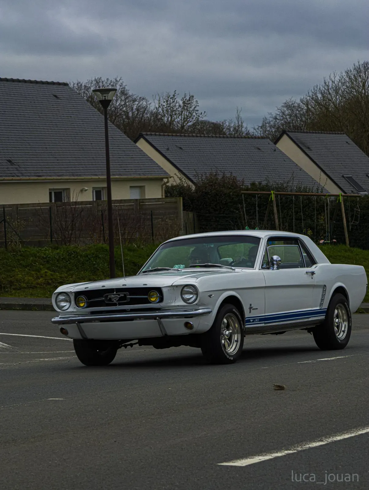 Mustang lors de la sortie du 21 février 2026, Côtes-d'Armor (22) · photo 15