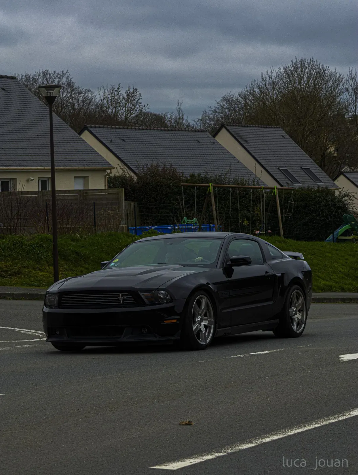 Mustang lors de la sortie du 21 février 2026, Côtes-d'Armor (22) · photo 16