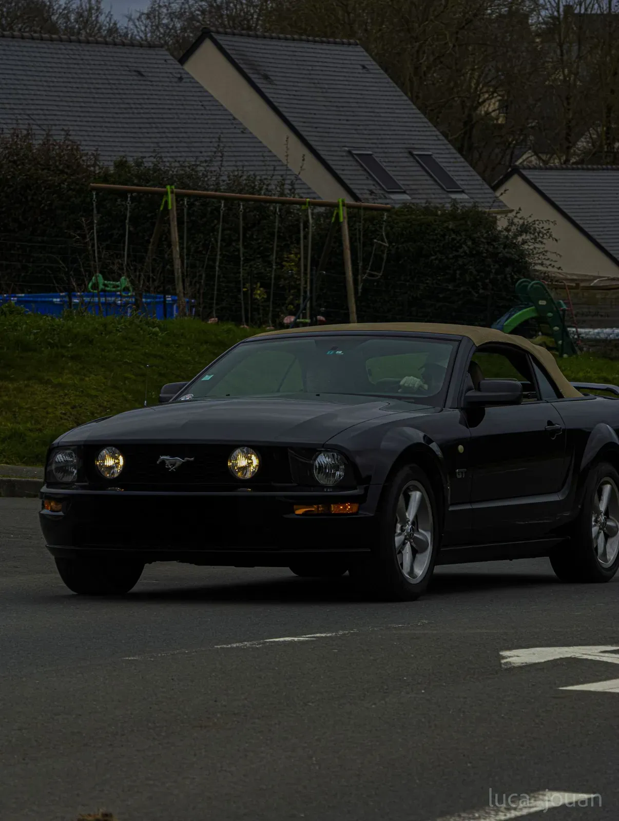 Mustang lors de la sortie du 21 février 2026, Côtes-d'Armor (22) · photo 17