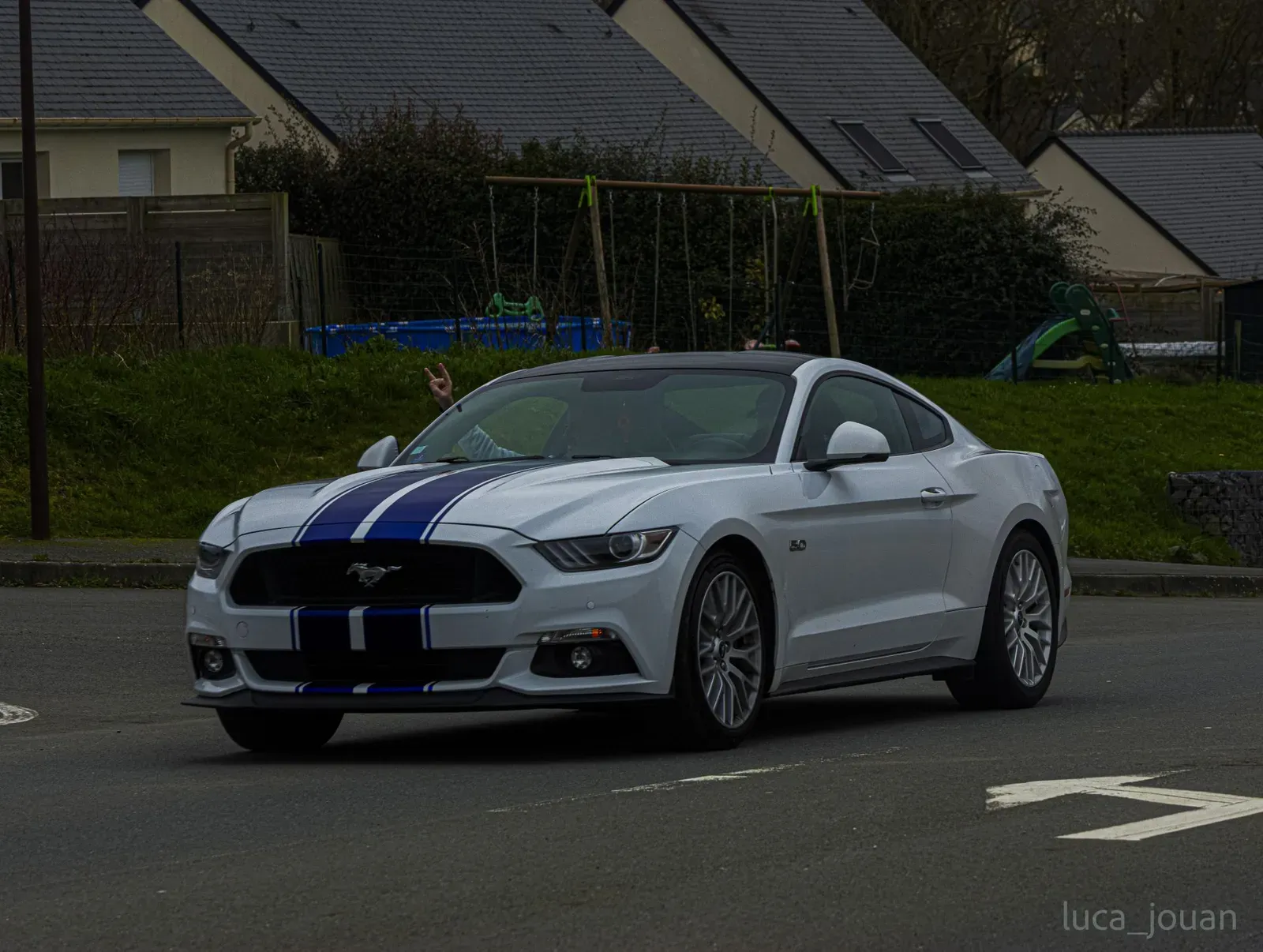 Mustang lors de la sortie du 21 février 2026, Côtes-d'Armor (22) · photo 19