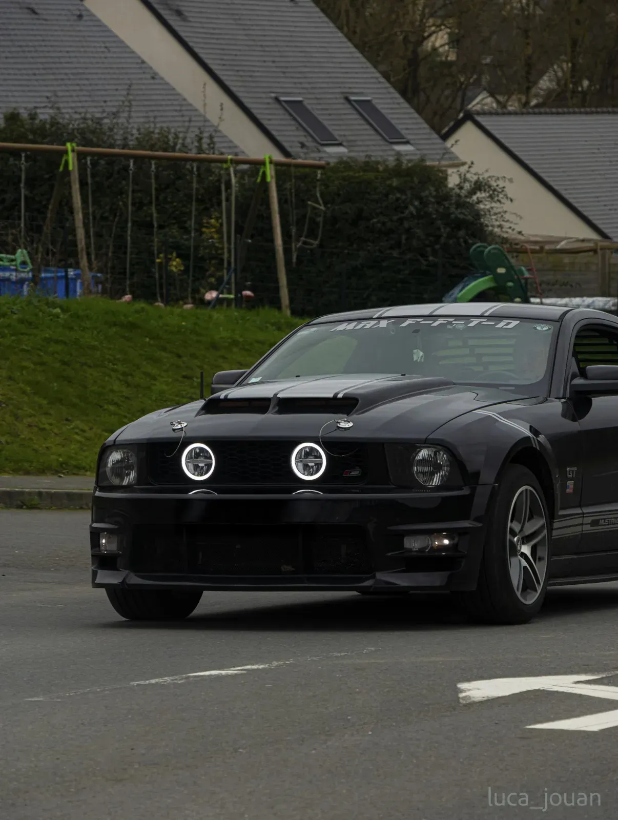 Mustang lors de la sortie du 21 février 2026, Côtes-d'Armor (22) · photo 20