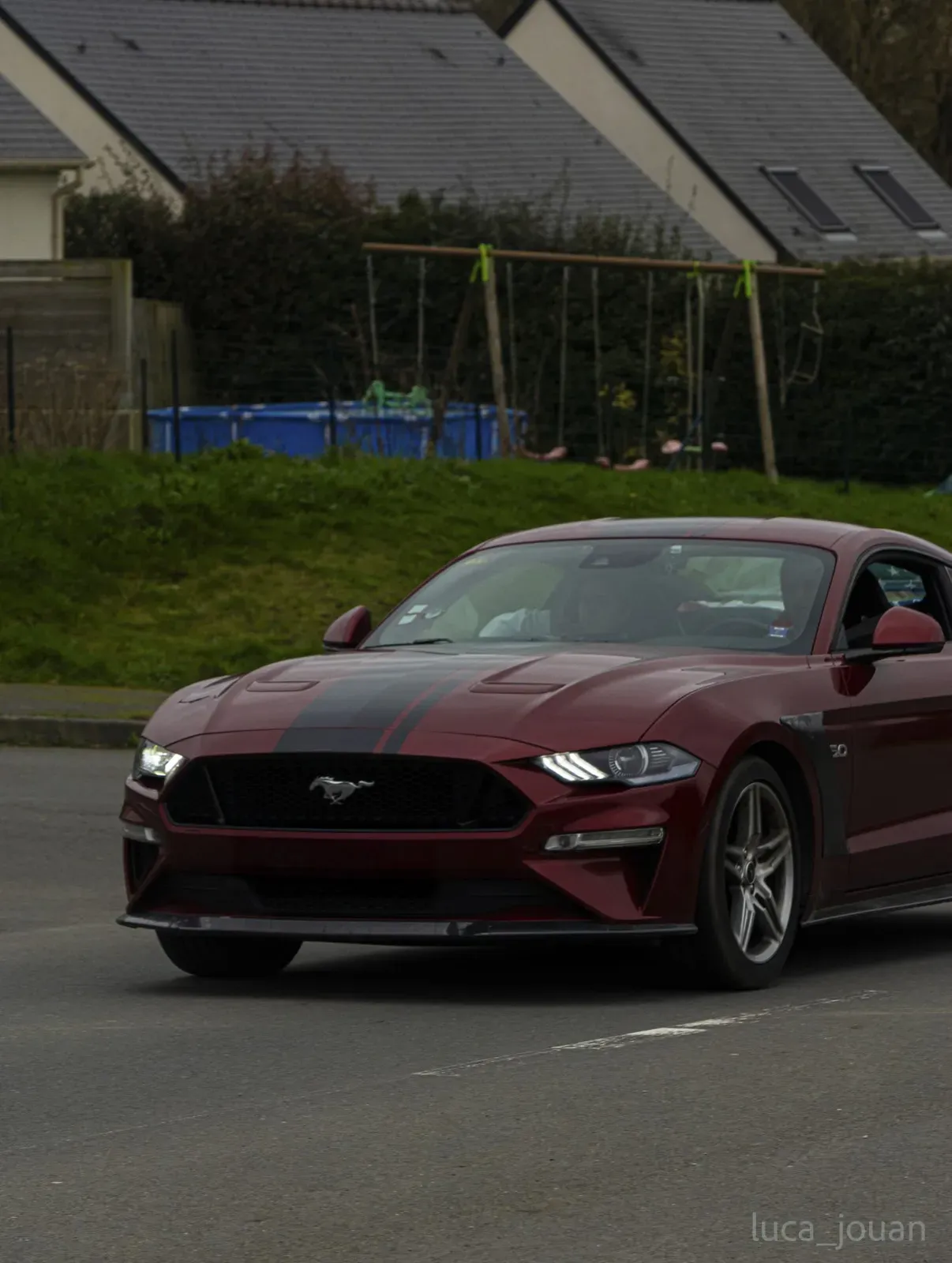 Mustang lors de la sortie du 21 février 2026, Côtes-d'Armor (22) · photo 21