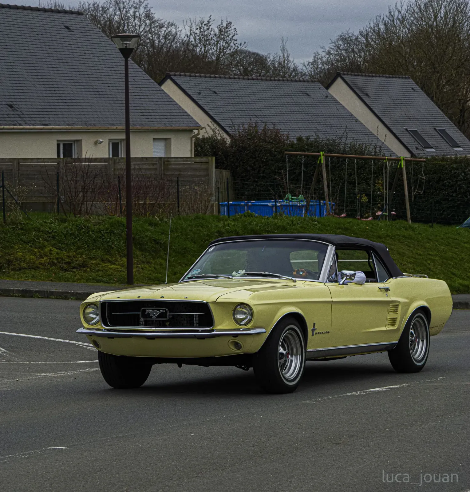 Mustang lors de la sortie du 21 février 2026, Côtes-d'Armor (22) · photo 22