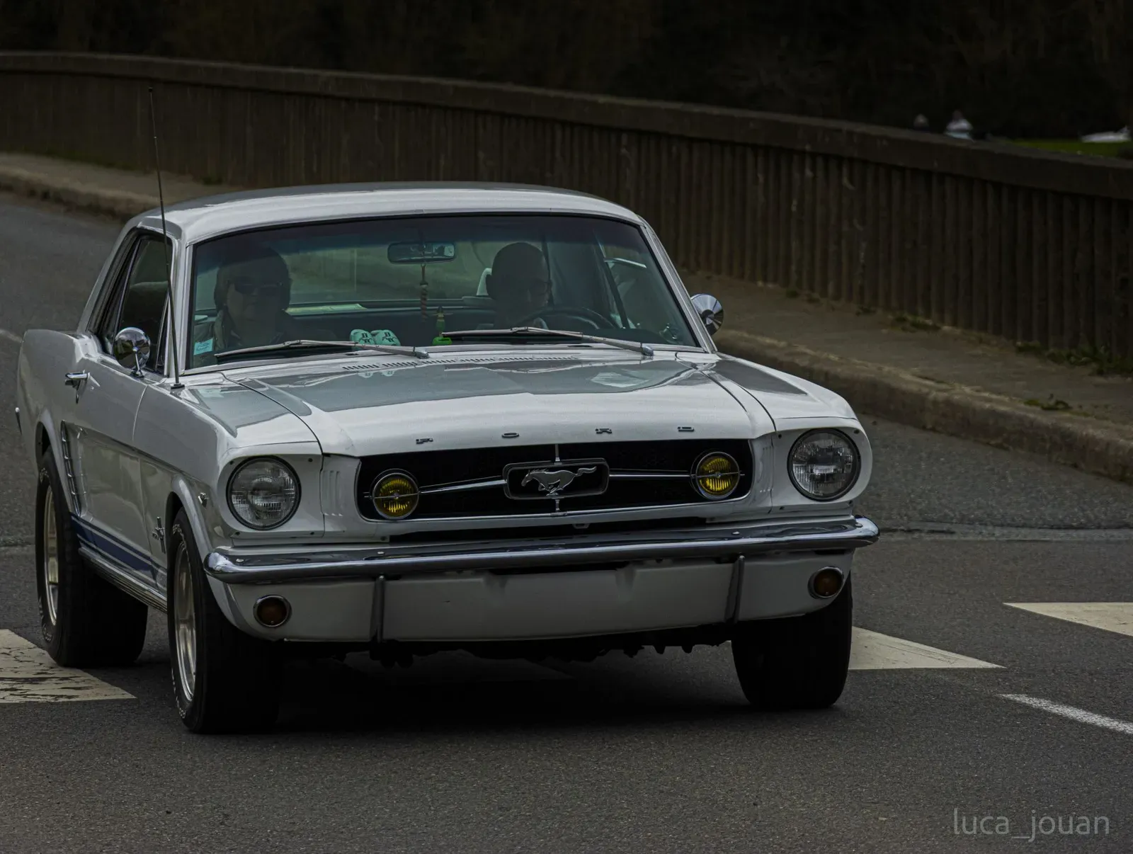 Mustang lors de la sortie du 21 février 2026, Côtes-d'Armor (22) · photo 24