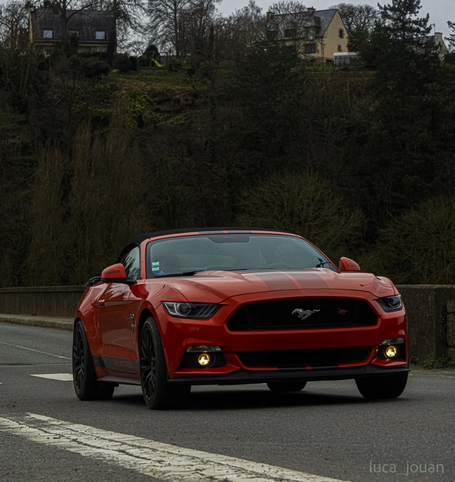 Mustang lors de la sortie du 21 février 2026, Côtes-d'Armor (22) · photo 27