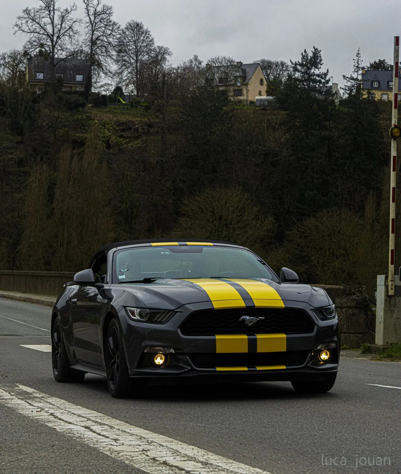 Mustang lors de la sortie du 21 février 2026, Côtes-d'Armor (22) · photo 28