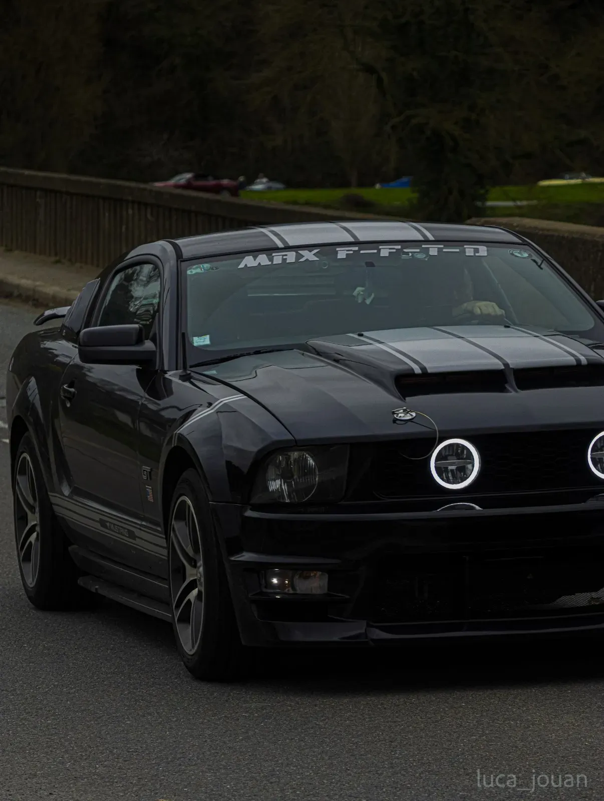 Mustang lors de la sortie du 21 février 2026, Côtes-d'Armor (22) · photo 29