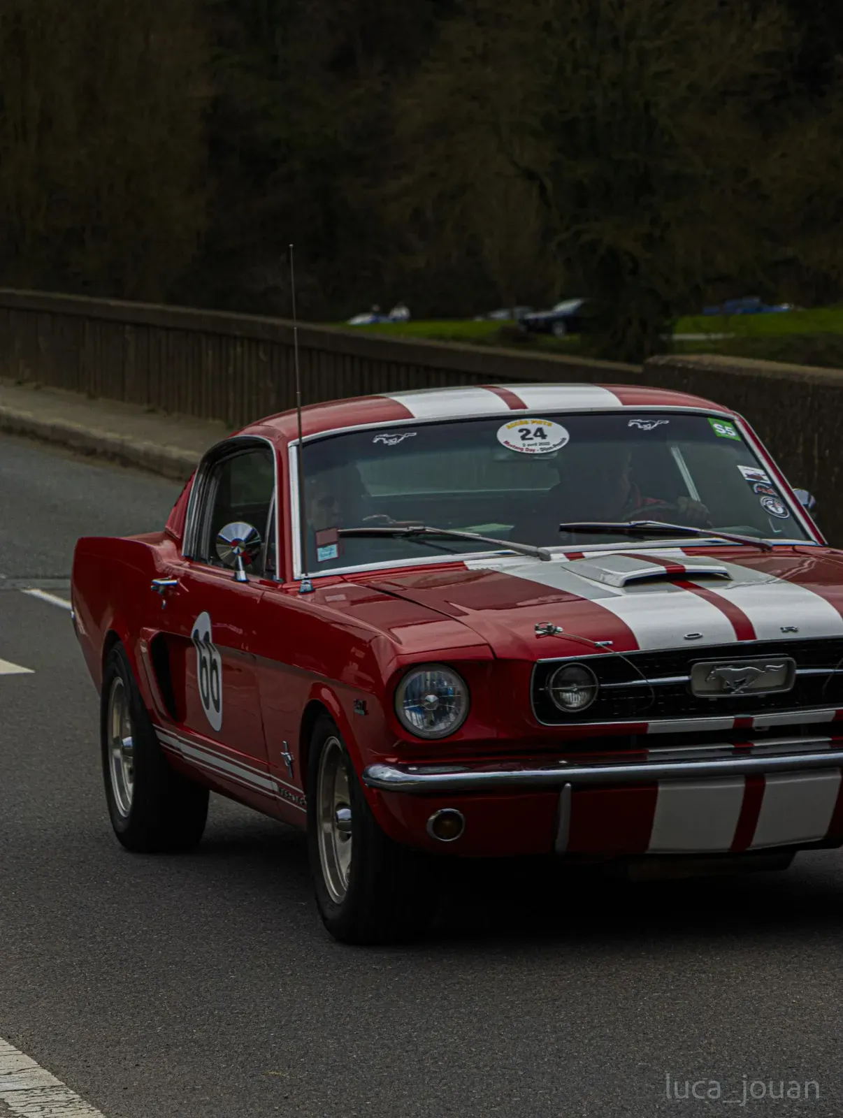 Mustang lors de la sortie du 21 février 2026, Côtes-d'Armor (22) · photo 30