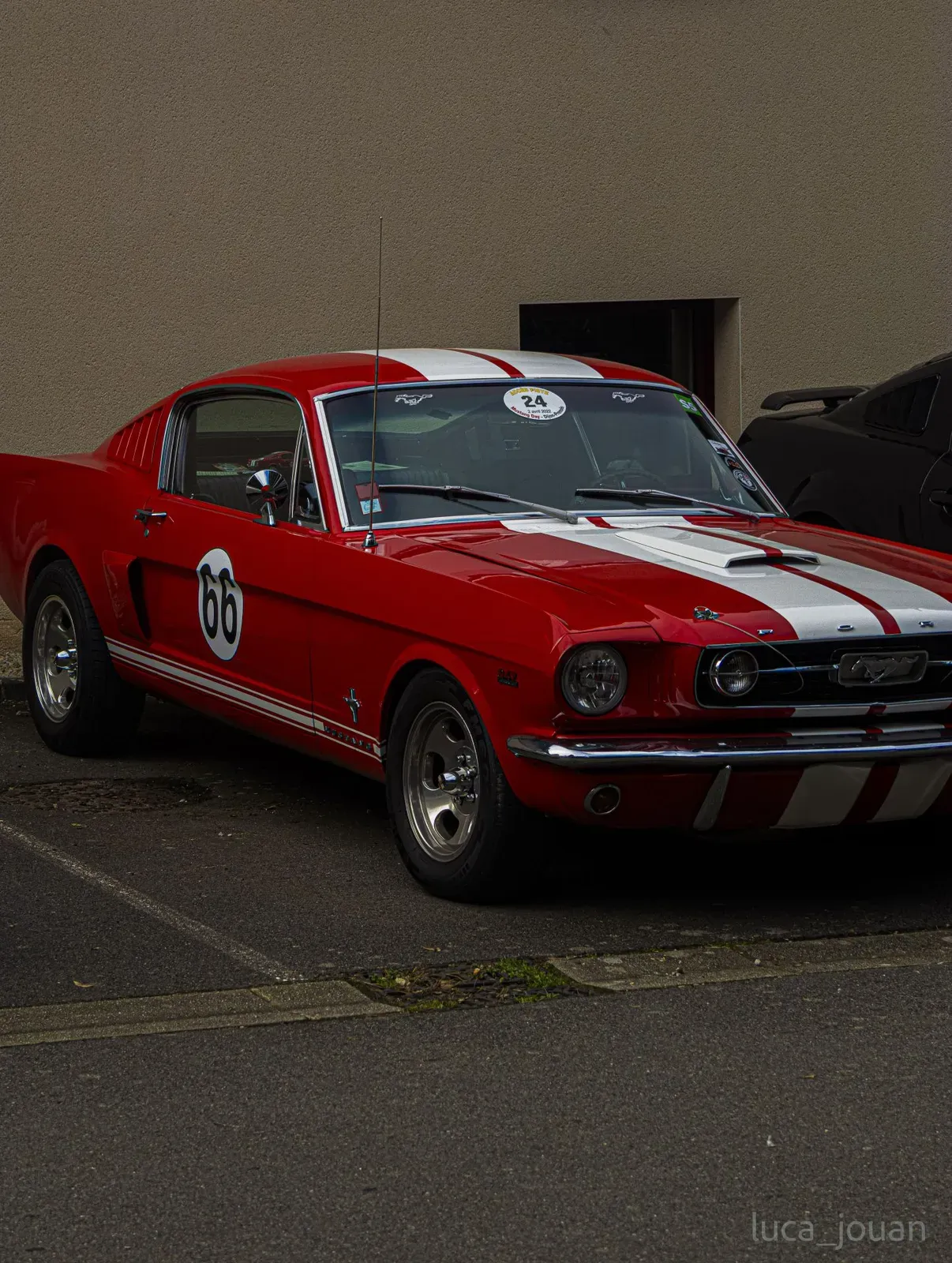 Mustang lors de la sortie du 21 février 2026, Côtes-d'Armor (22) · photo 32