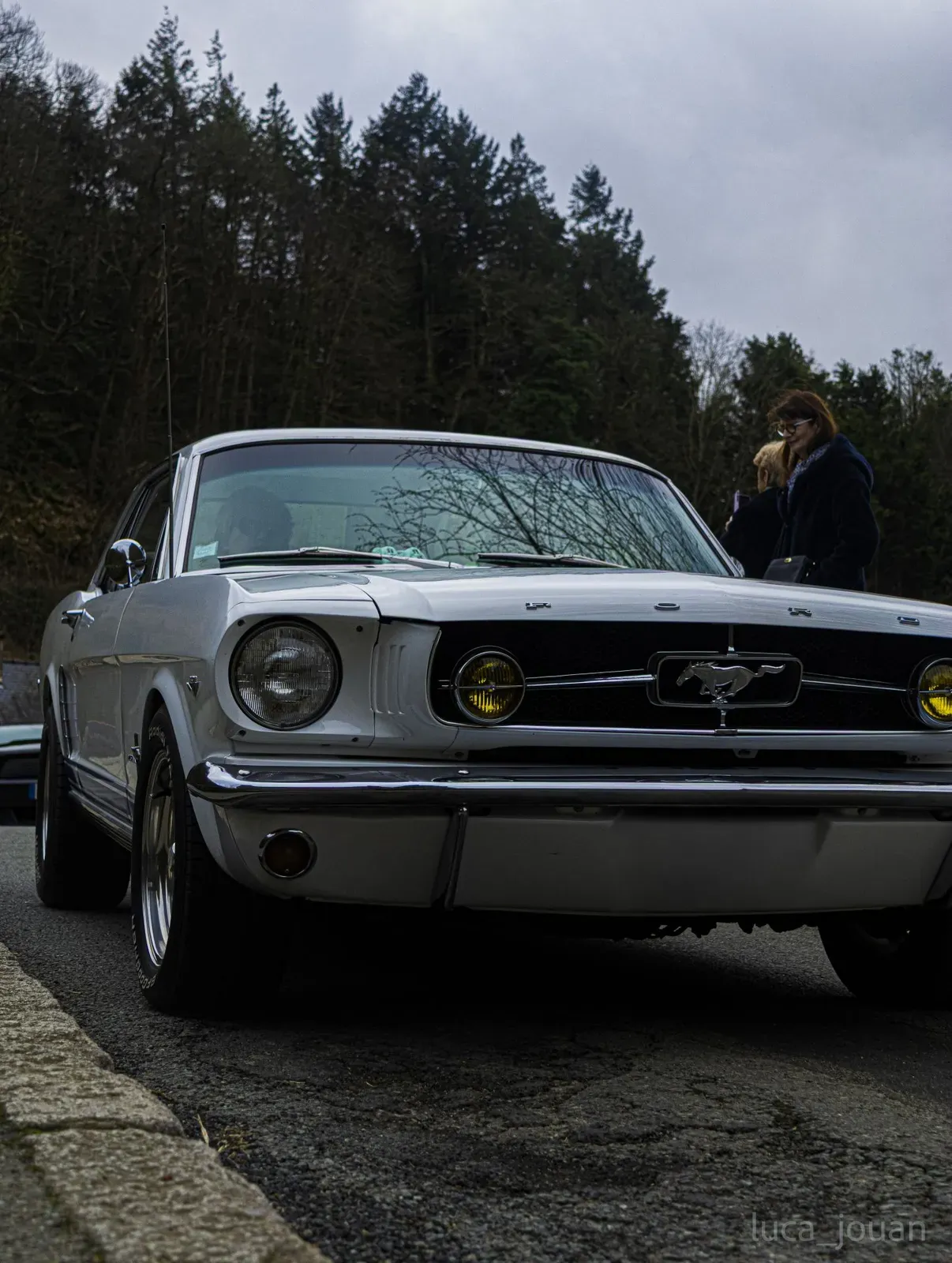 Mustang lors de la sortie du 21 février 2026, Côtes-d'Armor (22) · photo 36