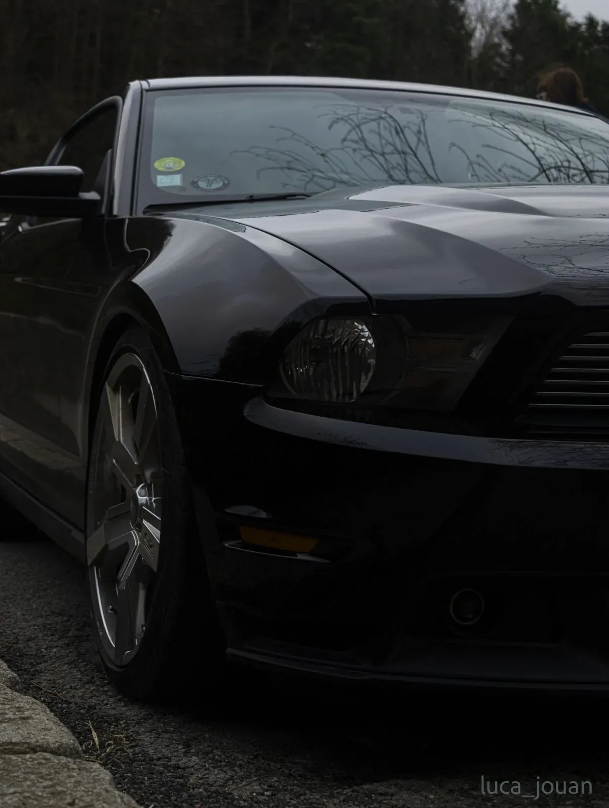 Mustang lors de la sortie du 21 février 2026, Côtes-d'Armor (22) · photo 37