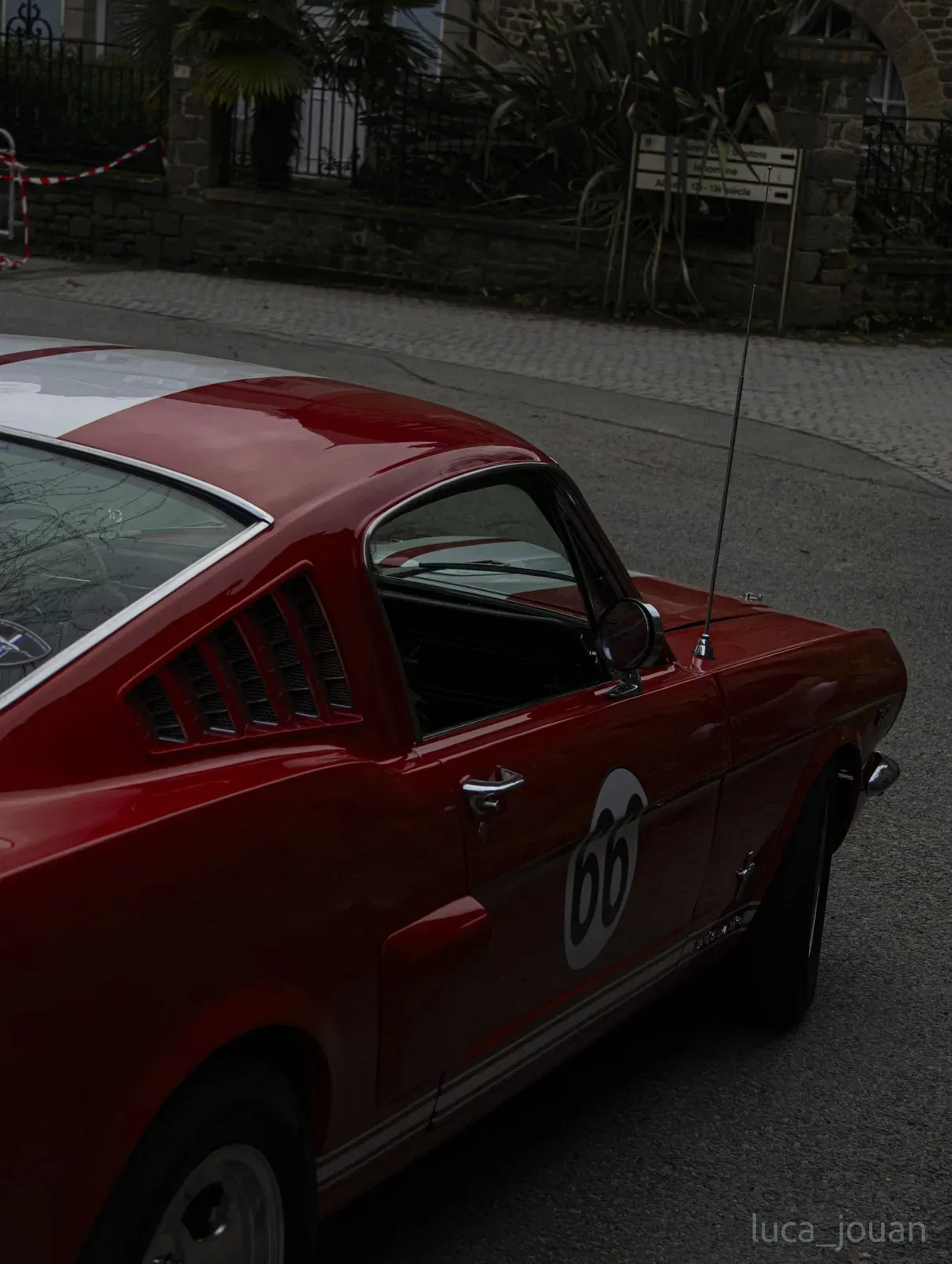 Mustang lors de la sortie du 21 février 2026, Côtes-d'Armor (22) · photo 38