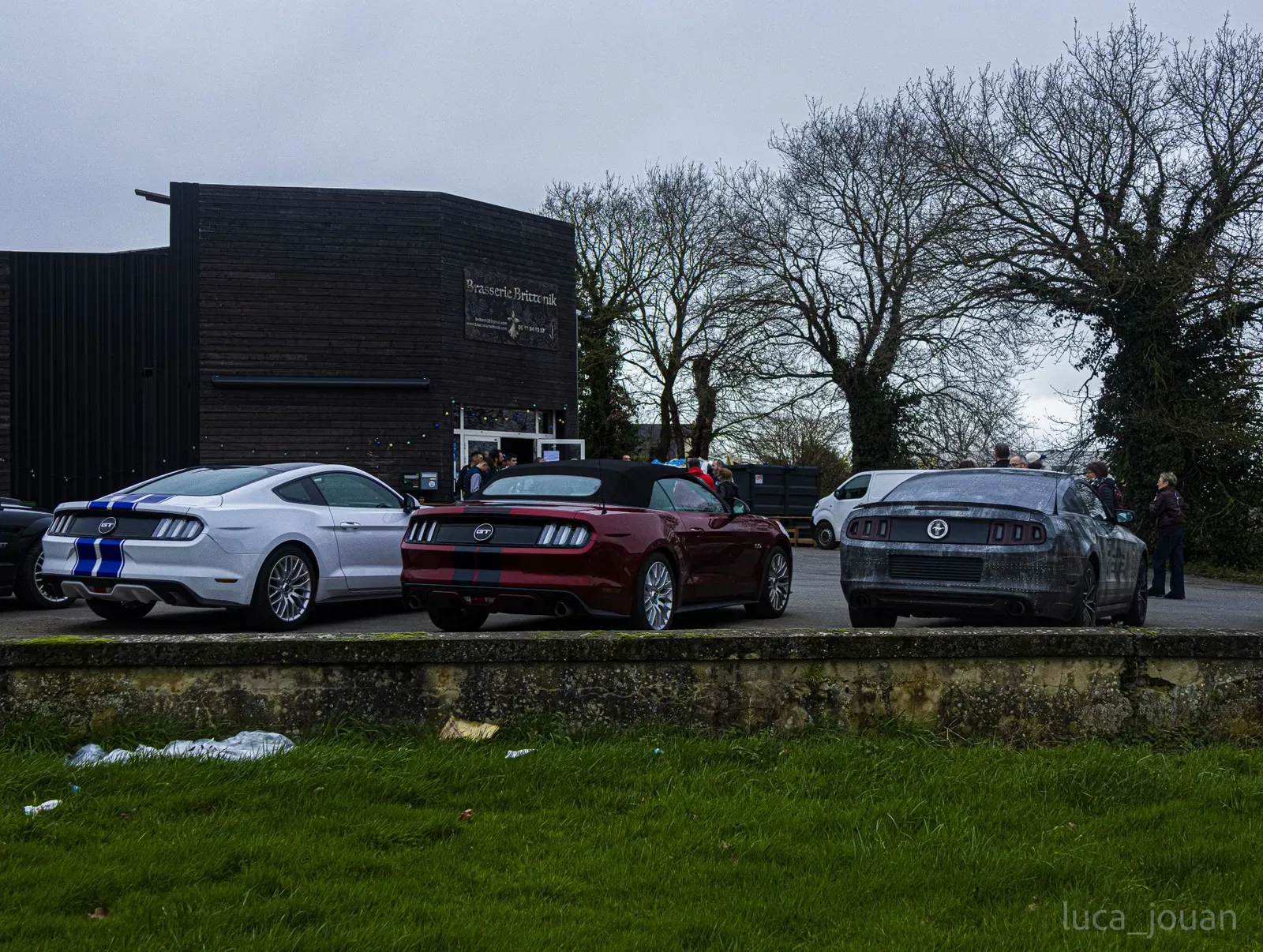 Mustang lors de la sortie du 21 février 2026, Côtes-d'Armor (22) · photo 40