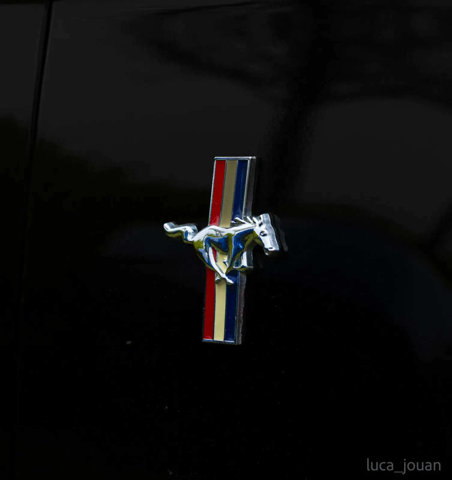 Mustang lors de la sortie du 21 février 2026, Côtes-d'Armor (22) · photo 43
