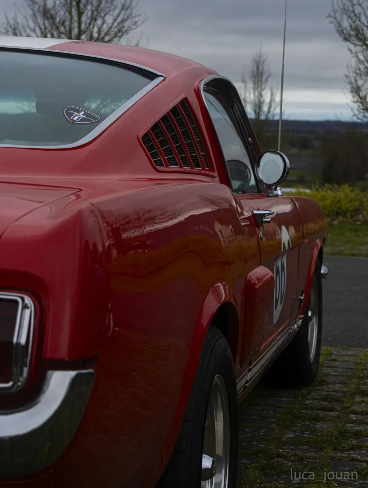Mustang lors de la sortie du 21 février 2026, Côtes-d'Armor (22) · photo 44