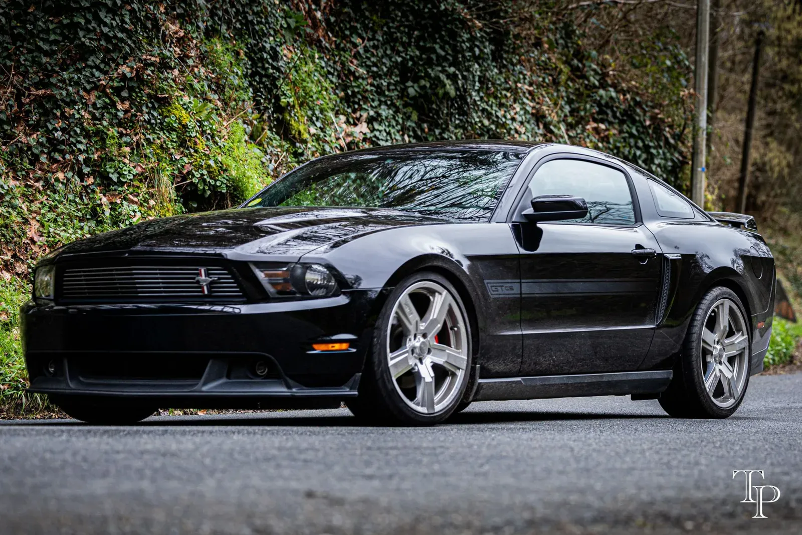 Mustang lors de la sortie du 21 février 2026, Côtes-d'Armor (22) · photo 51