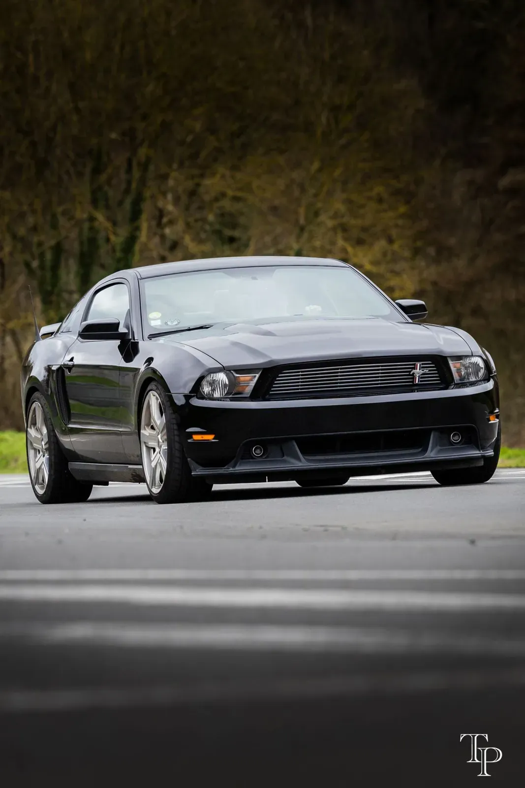 Mustang lors de la sortie du 21 février 2026, Côtes-d'Armor (22) · photo 77