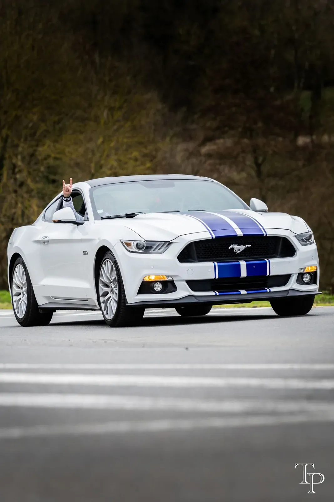 Mustang lors de la sortie du 21 février 2026, Côtes-d'Armor (22) · photo 80