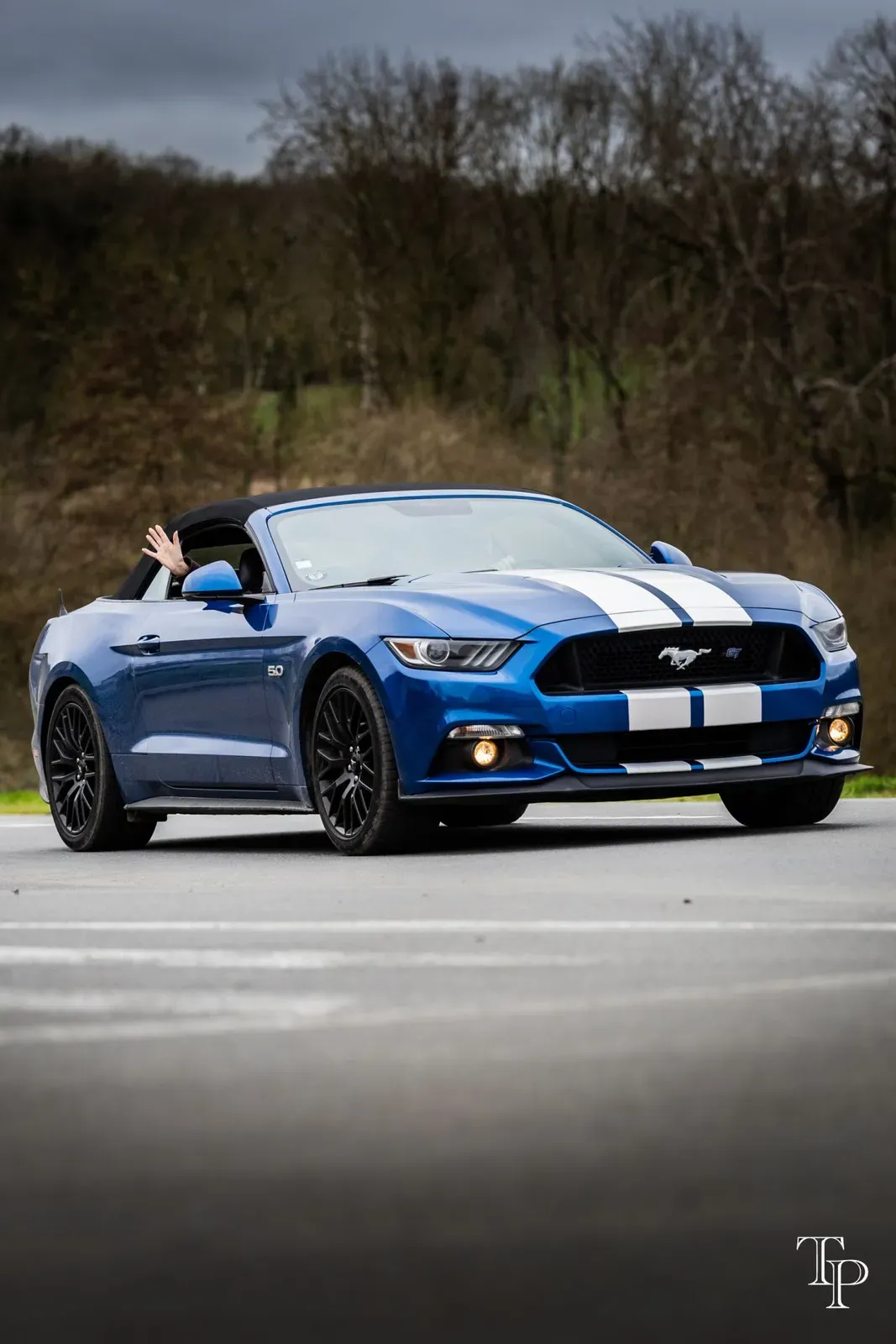 Mustang lors de la sortie du 21 février 2026, Côtes-d'Armor (22) · photo 81