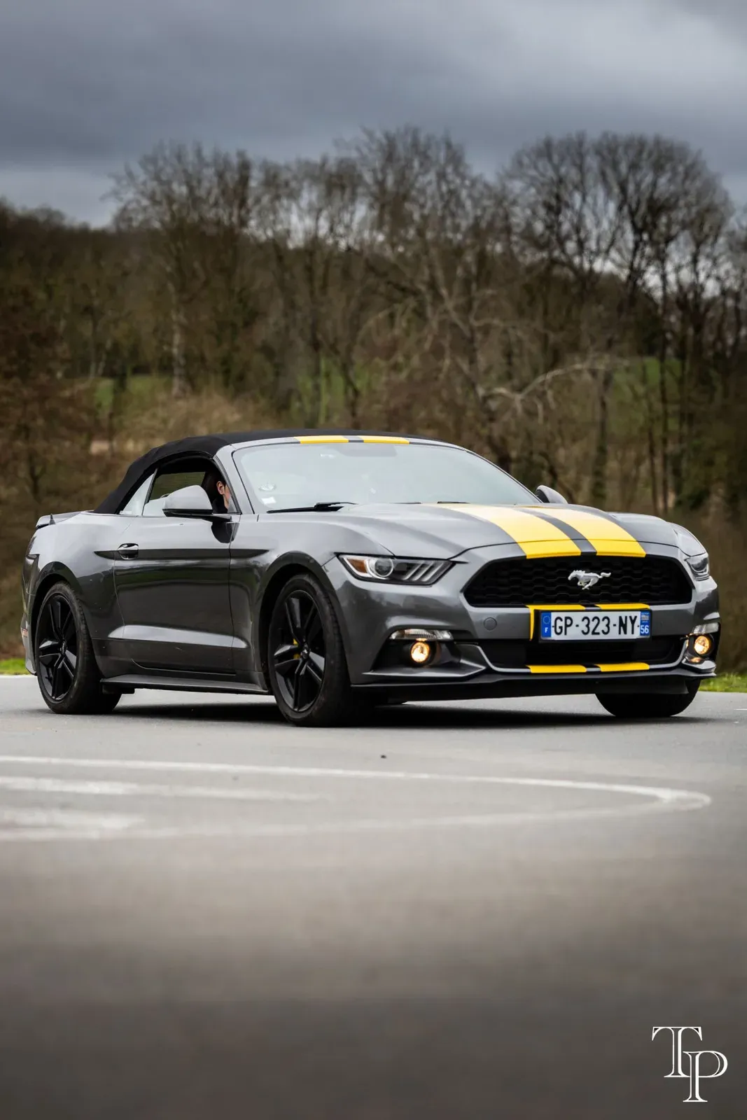 Mustang lors de la sortie du 21 février 2026, Côtes-d'Armor (22) · photo 83