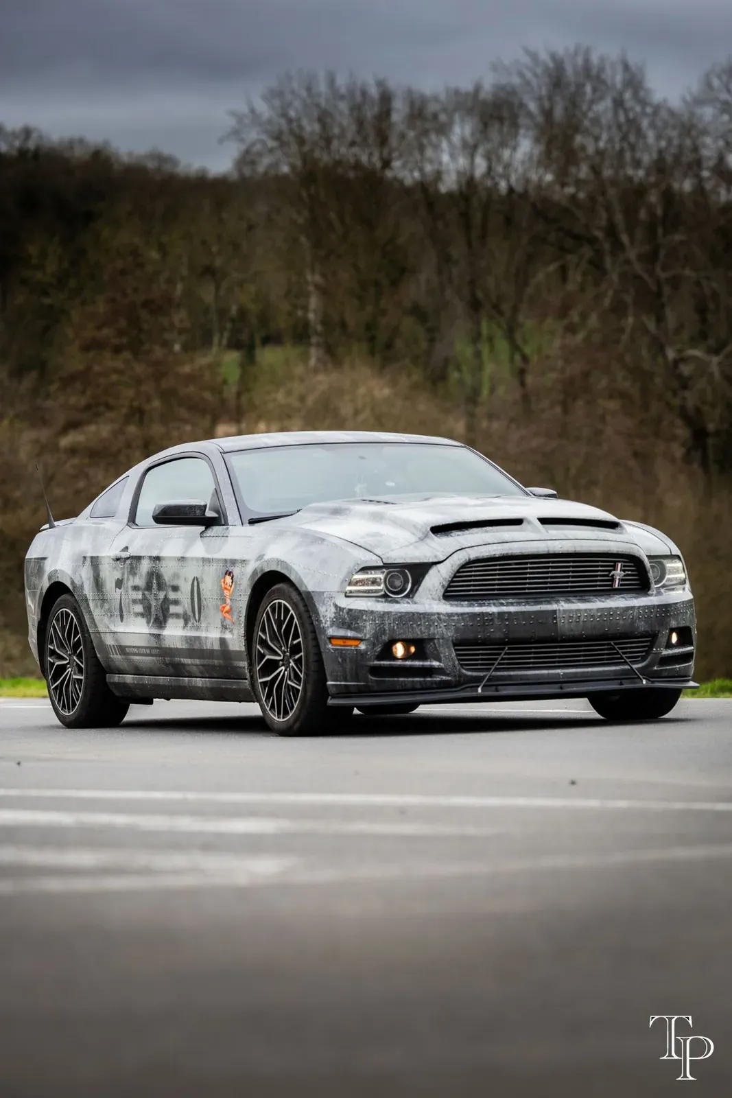 Mustang lors de la sortie du 21 février 2026, Côtes-d'Armor (22) · photo 85