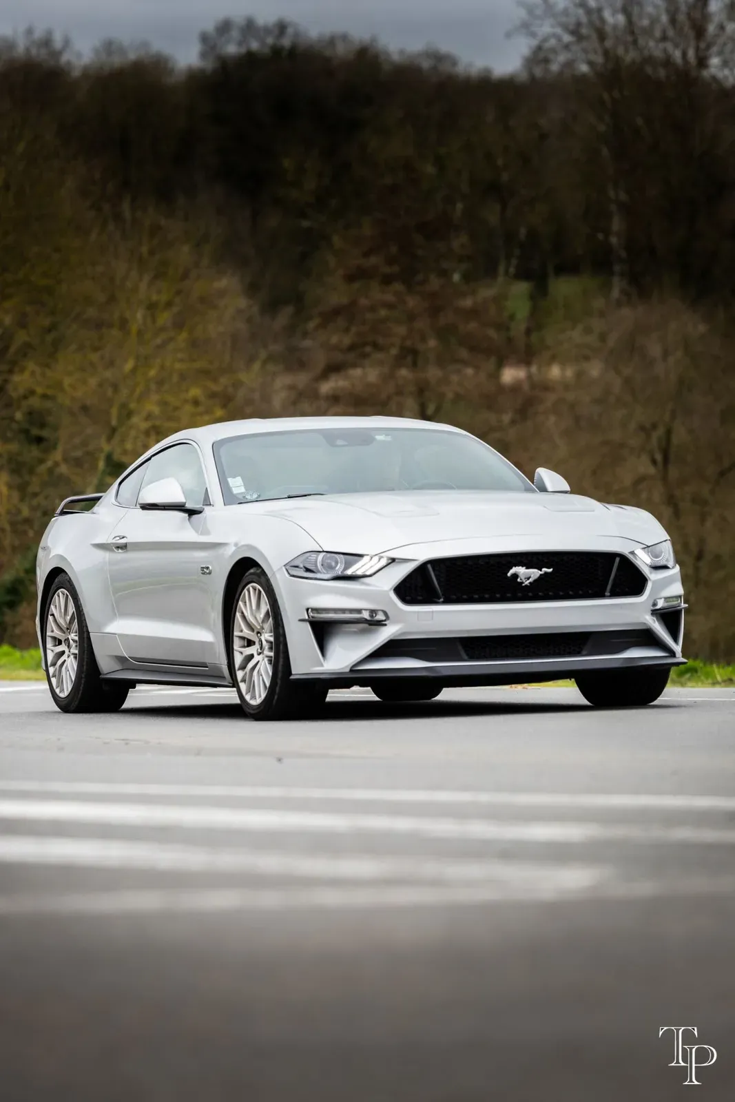 Mustang lors de la sortie du 21 février 2026, Côtes-d'Armor (22) · photo 86