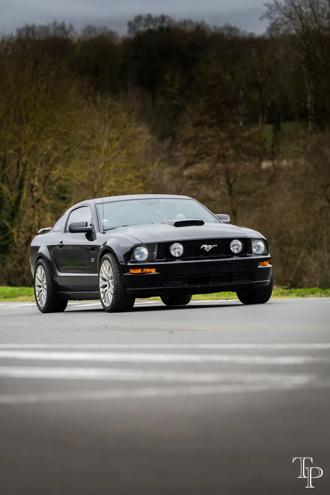 Mustang lors de la sortie du 21 février 2026, Côtes-d'Armor (22) · photo 88