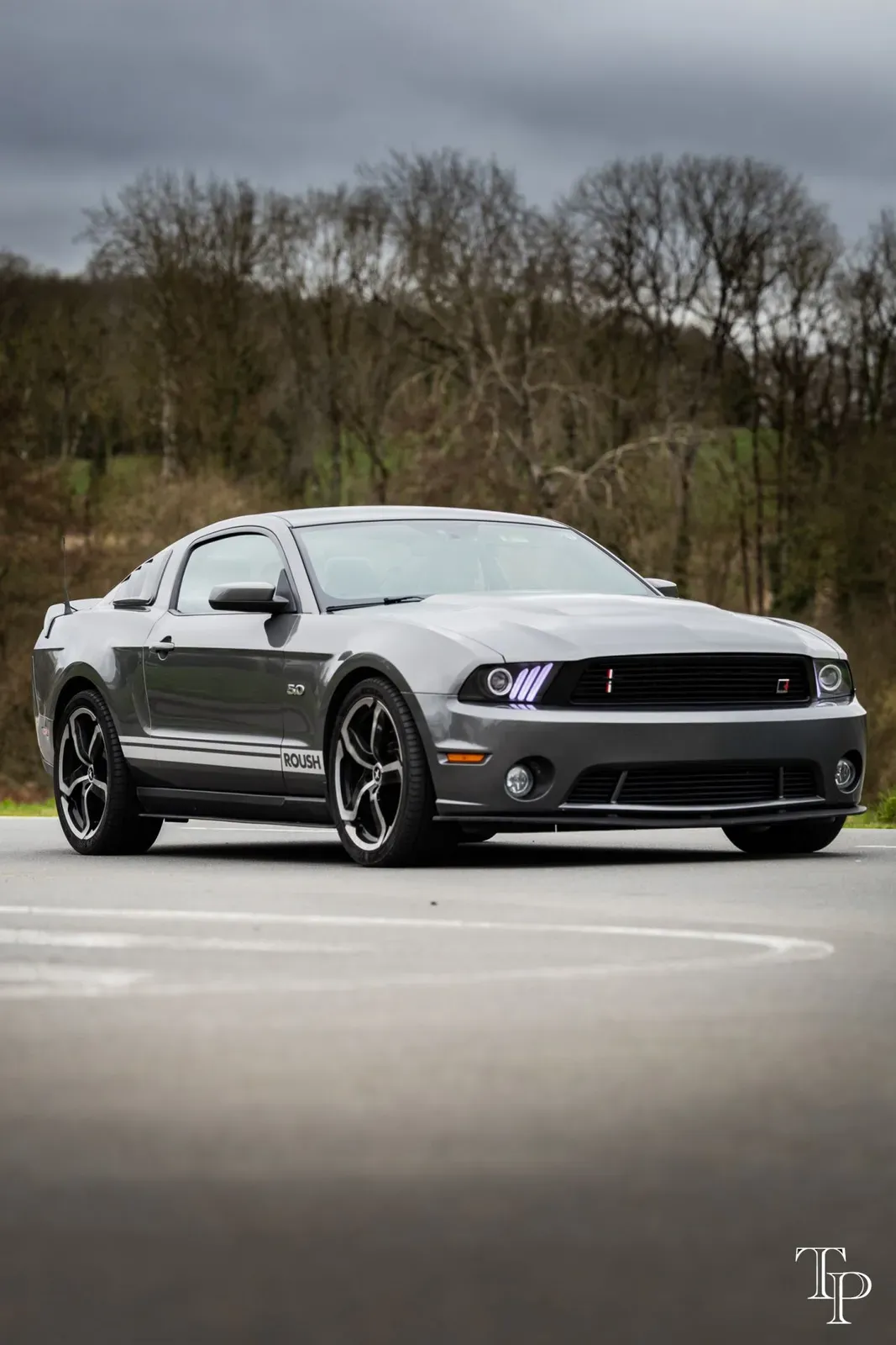 Mustang lors de la sortie du 21 février 2026, Côtes-d'Armor (22) · photo 91