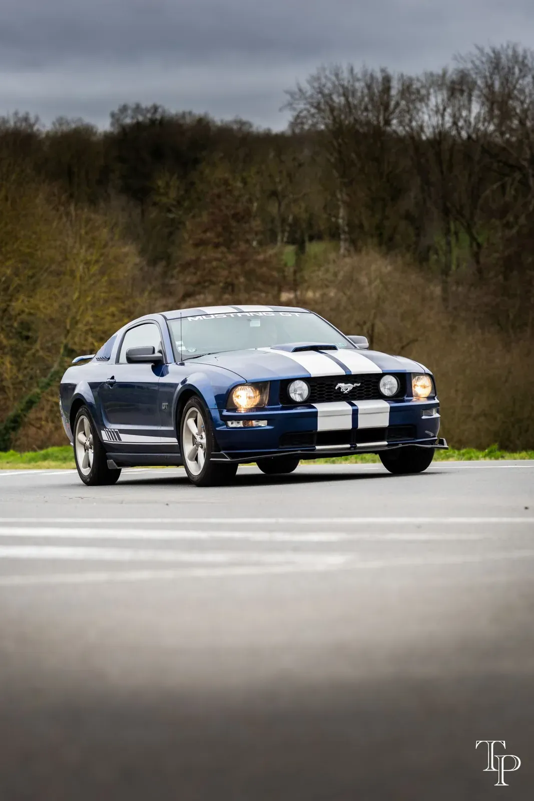 Mustang lors de la sortie du 21 février 2026, Côtes-d'Armor (22) · photo 92