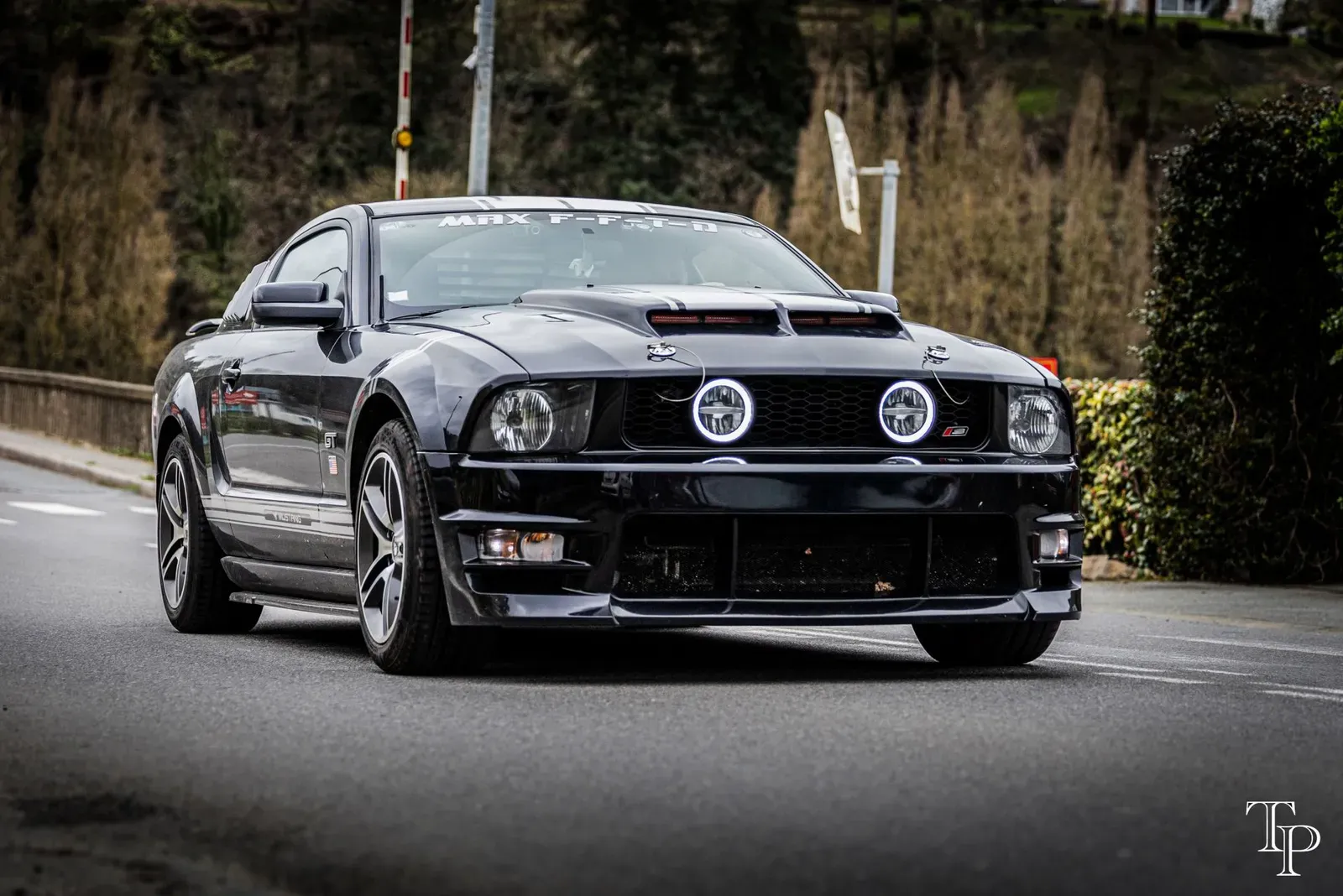 Mustang lors de la sortie du 21 février 2026, Côtes-d'Armor (22) · photo 100