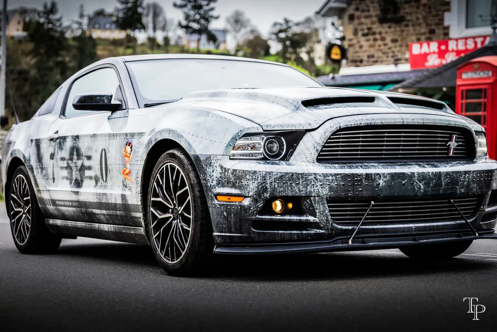 Mustang lors de la sortie du 21 février 2026, Côtes-d'Armor (22) · photo 102