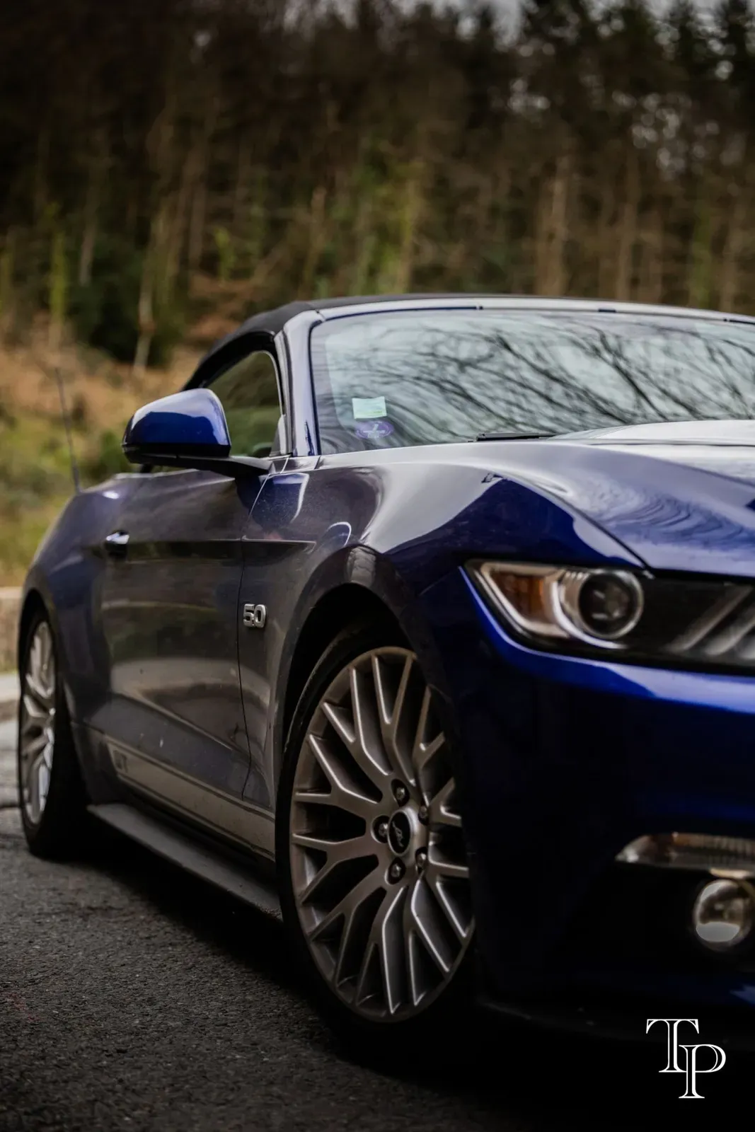 Mustang lors de la sortie du 21 février 2026, Côtes-d'Armor (22) · photo 111