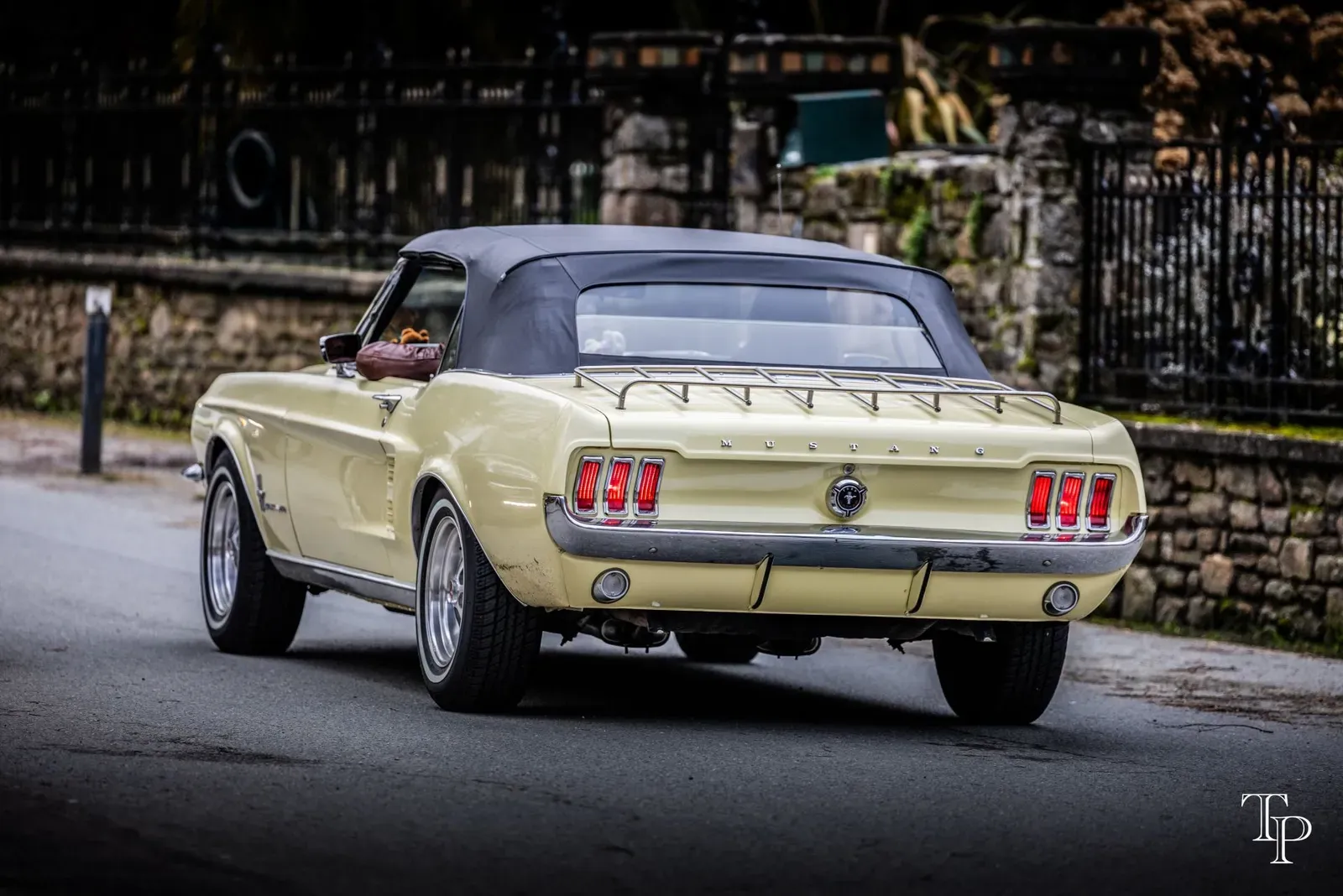 Mustang lors de la sortie du 21 février 2026, Côtes-d'Armor (22) · photo 112