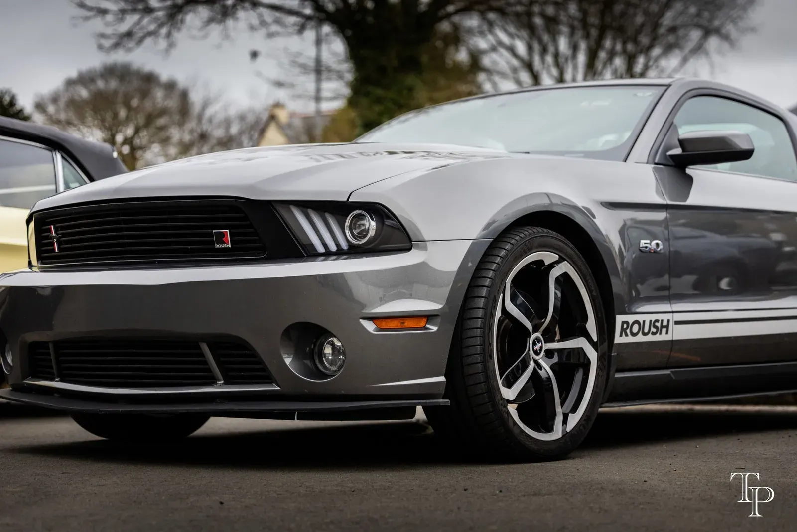 Mustang lors de la sortie du 21 février 2026, Côtes-d'Armor (22) · photo 119