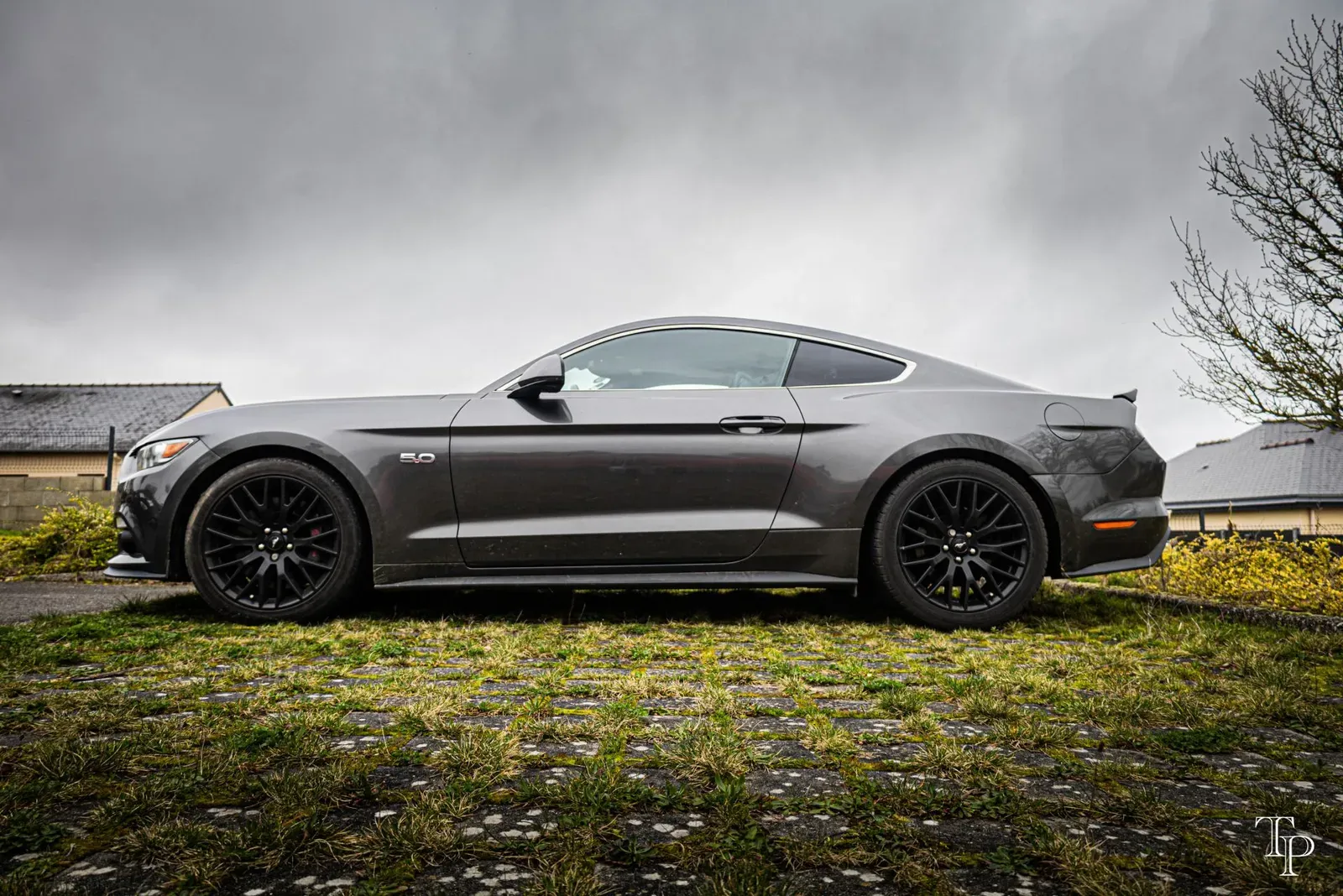 Mustang lors de la sortie du 21 février 2026, Côtes-d'Armor (22) · photo 126