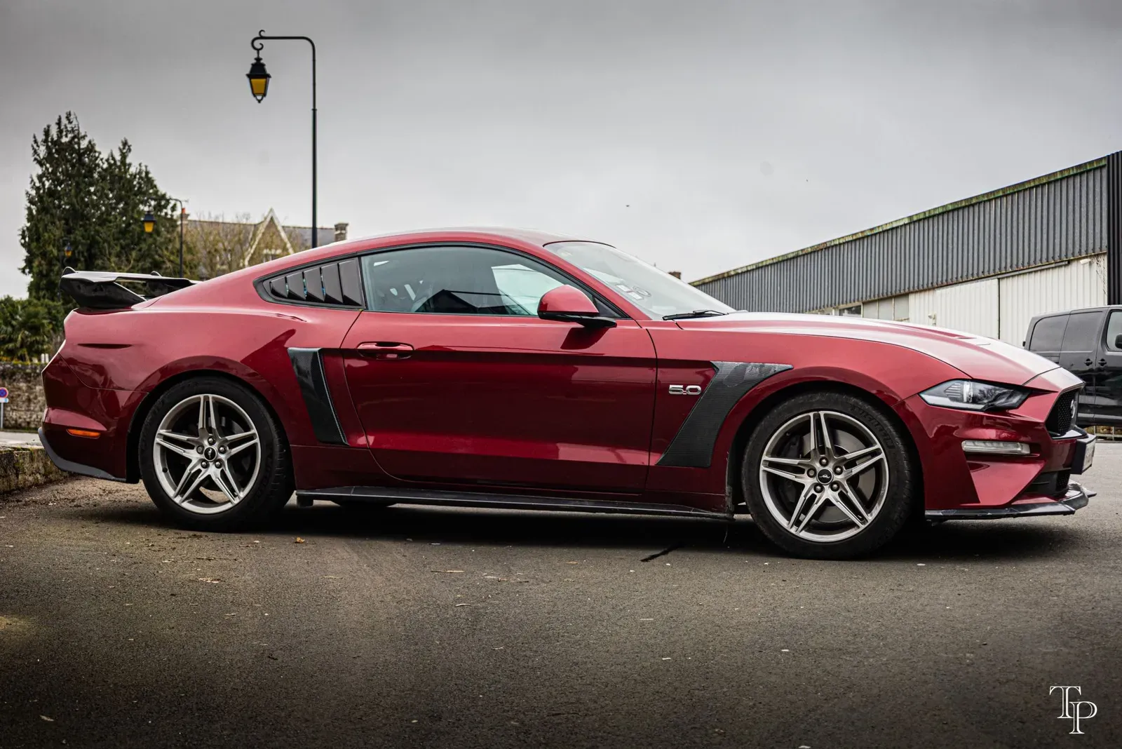 Mustang lors de la sortie du 21 février 2026, Côtes-d'Armor (22) · photo 139