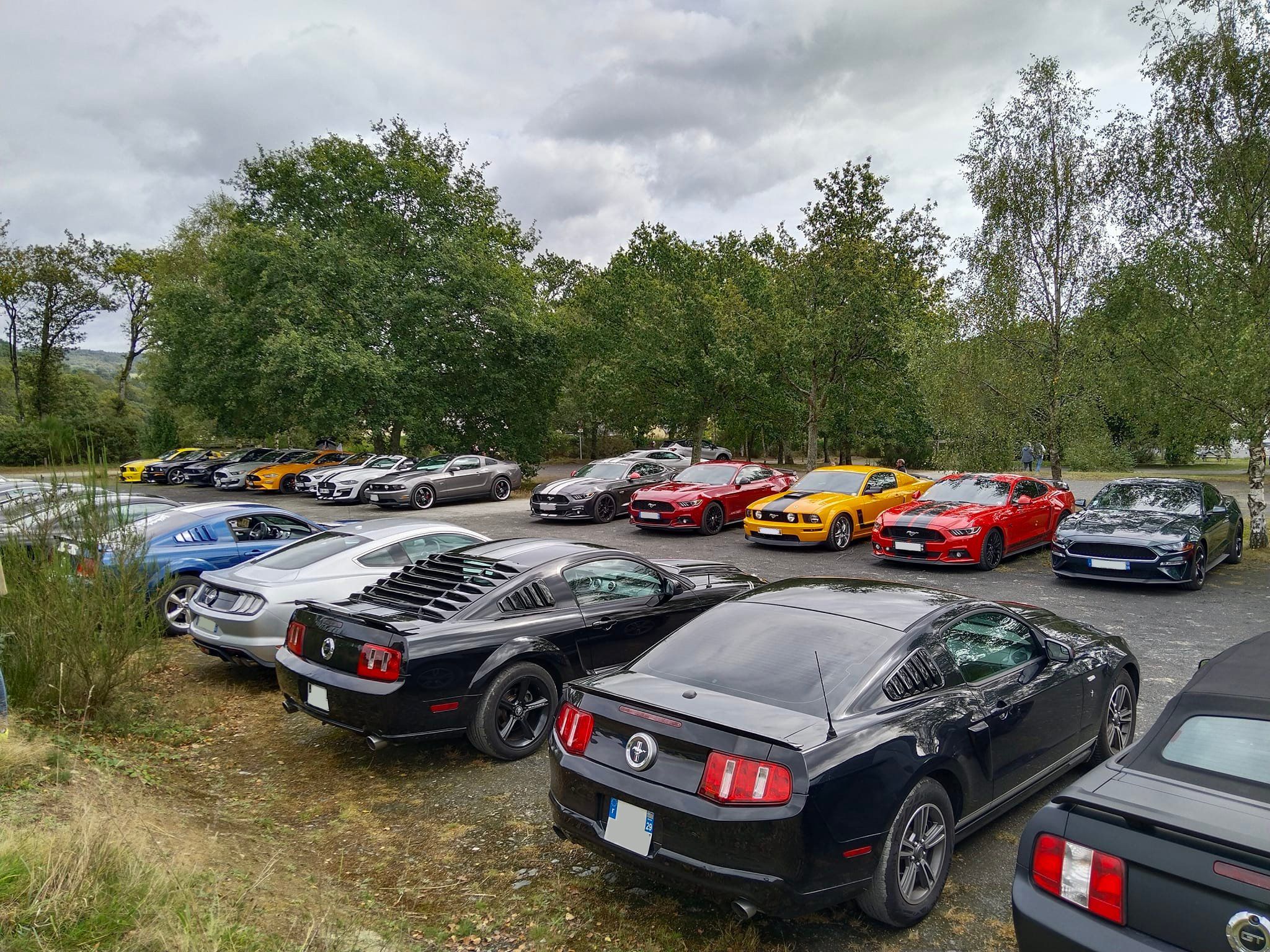 Adhérents et Mustang du club lors d'une sortie
