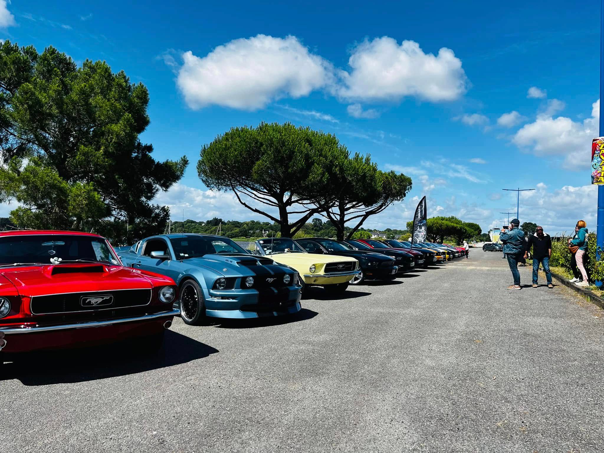 Mustang du club alignées au soleil lors d'une sortie